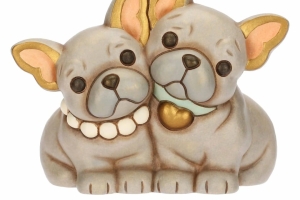 Thun,coppia cani media